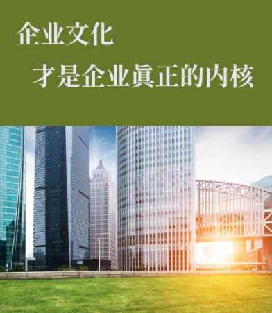 成都软视通视频监控系统与大屏显示设备的兼容性选型要点